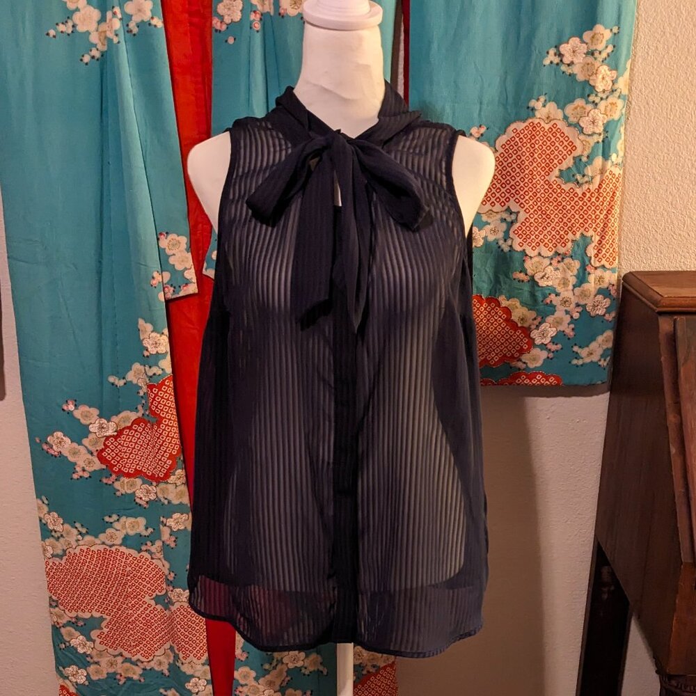 Sheer Dark Blue Top